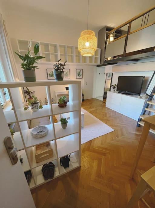 Stefanka Apartment Old Town Pozsony Kültér fotó